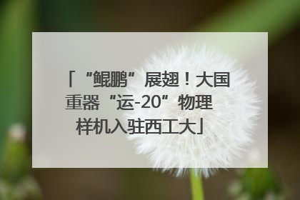 “鲲鹏”展翅！大国重器“运-20”物理样机入驻西工大
