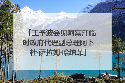 王予波会见阿富汗临时政府代理副总理阿卜杜·萨拉姆·哈纳菲