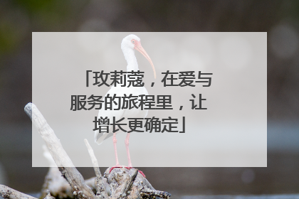 玫莉蔻，在爱与服务的旅程里，让增长更确定