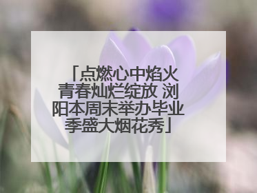 点燃心中焰火 青春灿烂绽放 浏阳本周末举办毕业季盛大烟花秀