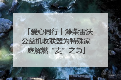 爱心同行丨潍柴雷沃公益机收联盟为特殊家庭解燃“麦”之急