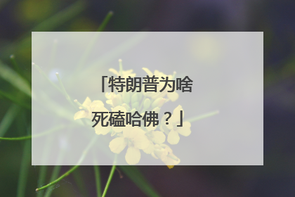特朗普为啥死磕哈佛？