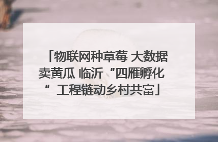 物联网种草莓 大数据卖黄瓜 临沂“四雁孵化”工程链动乡村共富