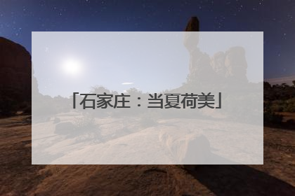 石家庄：当夏荷美