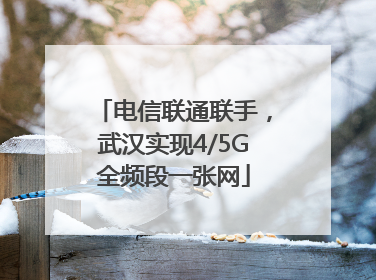 电信联通联手，武汉实现4/5G全频段一张网