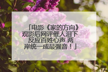 电影《家的方向》观影后网评催人泪下 反应百姓心声 两岸统一成最强音！