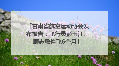 甘肃省航空运动协会发布报告：飞行员彭玉江、顾志敏停飞6个月