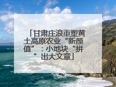 甘肃庄浪重塑黄土高原农业“新颜值”：小地块“拼”出大文章