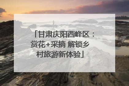 甘肃庆阳西峰区：赏花+采摘 解锁乡村旅游新体验