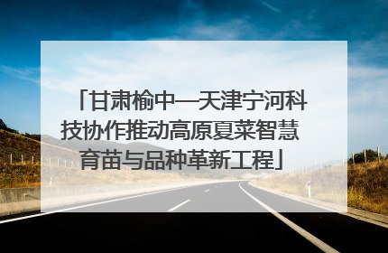 甘肃榆中—天津宁河科技协作推动高原夏菜智慧育苗与品种革新工程