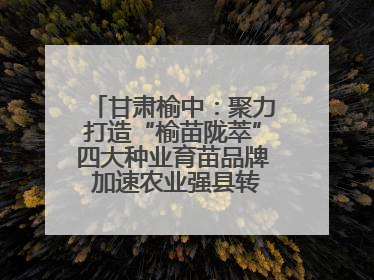 甘肃榆中：聚力打造“榆苗陇萃”四大种业育苗品牌 加速农业强县转型步伐