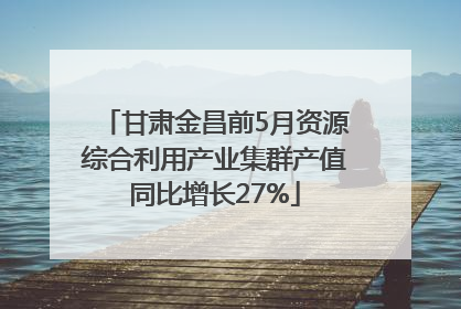 甘肃金昌前5月资源综合利用产业集群产值同比增长27%