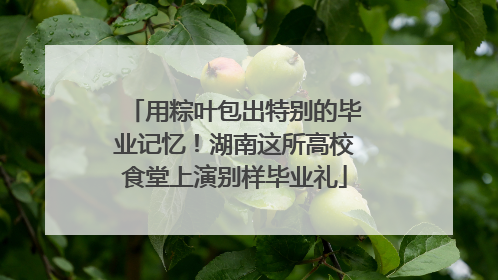 用粽叶包出特别的毕业记忆！湖南这所高校食堂上演别样毕业礼