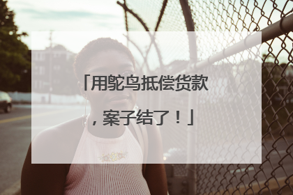 用鸵鸟抵偿货款，案子结了！