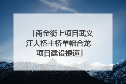 甬金衢上项目武义江大桥主桥单幅合龙 项目建设提速