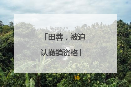 田蓉，被追认撤销资格
