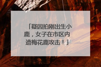 疑因拍刚出生小鹿，女子在市区内遭梅花鹿攻击！