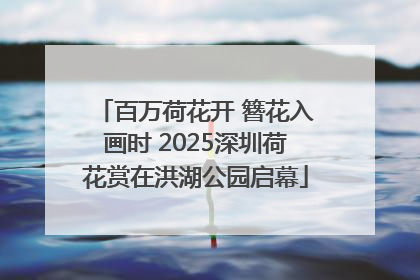 百万荷花开 簪花入画时 2025深圳荷花赏在洪湖公园启幕