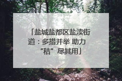 盐城盐都区盐渎街道：多措并举 助力“秸”尽其用