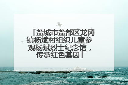 盐城市盐都区龙冈镇杨斌村组织儿童参观杨斌烈士纪念馆，传承红色基因