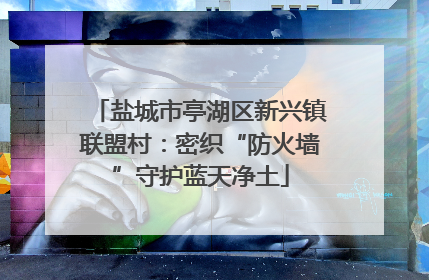 盐城市亭湖区新兴镇联盟村：密织“防火墙”守护蓝天净土