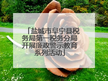盐城市阜宁县税务局第一税务分局开展廉政警示教育系列活动