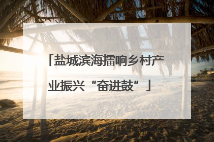 盐城滨海擂响乡村产业振兴“奋进鼓”