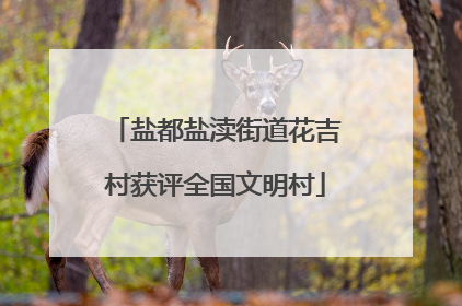 盐都盐渎街道花吉村获评全国文明村