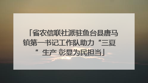 省农信联社派驻鱼台县唐马镇第一书记工作队助力“三夏”生产 彰显为民担当