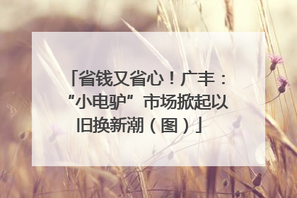 省钱又省心！广丰：“小电驴”市场掀起以旧换新潮（图）