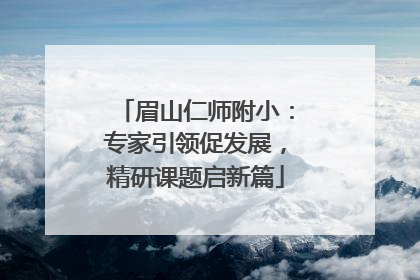 眉山仁师附小：专家引领促发展，精研课题启新篇