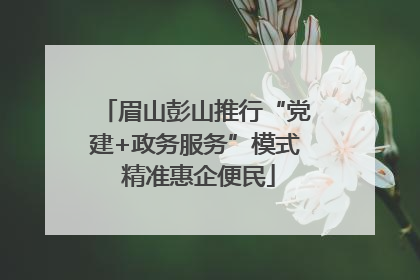 眉山彭山推行“党建+政务服务”模式 精准惠企便民
