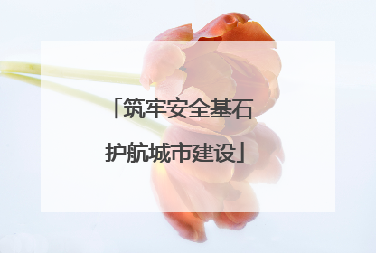 筑牢安全基石 护航城市建设