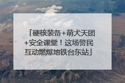 硬核装备+萌犬天团+安全课堂！这场警民互动燃爆地铁台东站