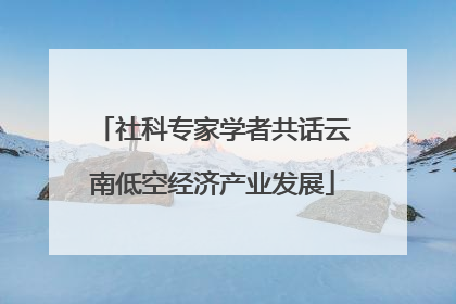 社科专家学者共话云南低空经济产业发展