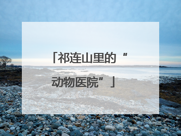 祁连山里的“动物医院”