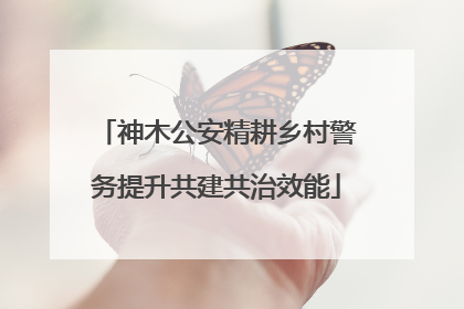 神木公安精耕乡村警务提升共建共治效能
