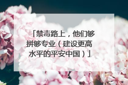 禁毒路上，他们够拼够专业（建设更高水平的平安中国）