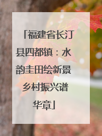 福建省长汀县四都镇：水韵圭田绘新景 乡村振兴谱华章