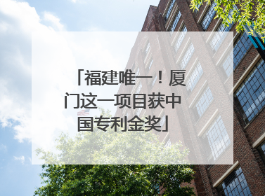 福建唯一！厦门这一项目获中国专利金奖
