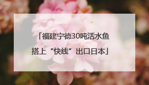 福建宁德30吨活水鱼搭上“快线”出口日本