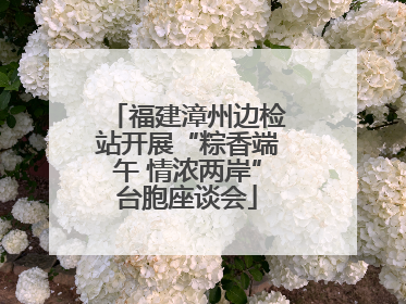 福建漳州边检站开展“粽香端午 情浓两岸”台胞座谈会