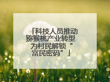 科技人员推动猕猴桃产业转型 为村民解锁“富民密码”