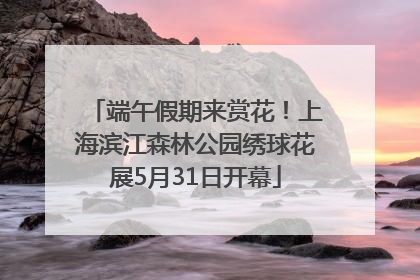 端午假期来赏花！上海滨江森林公园绣球花展5月31日开幕