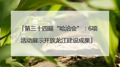 第三十四届“哈洽会”：6项活动展示开放龙江建设成果