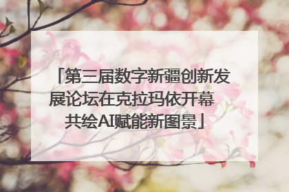 第三届数字新疆创新发展论坛在克拉玛依开幕 共绘AI赋能新图景