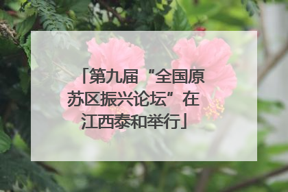 第九届“全国原苏区振兴论坛”在江西泰和举行