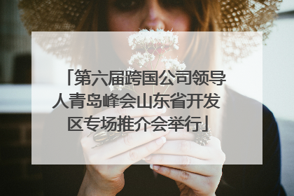 第六届跨国公司领导人青岛峰会山东省开发区专场推介会举行
