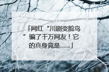 网红“川剧变脸鸟”骗了千万网友！它的真身竟是……