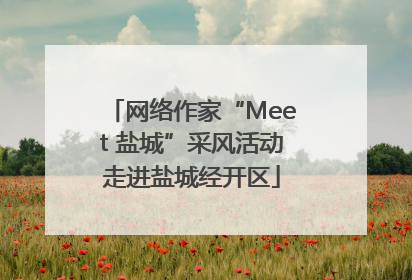 网络作家“Meet 盐城”采风活动走进盐城经开区